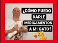 ¿Cómo puedo darle medicamentos a mi gato?