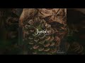 JUSTICE - THUNDER【Audio】