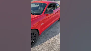 Mustang GT 50 Years Edition 2022 2015 50years Sportscar Ford Mustang American Musclecar 