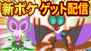 新ポケモン「オンバット/オンバーン」の神個体をゲットするポケスリ睡眠リサーチ配信【ポケモンスリープ】