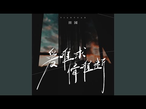 爱难求情难断 (DJ九零版)