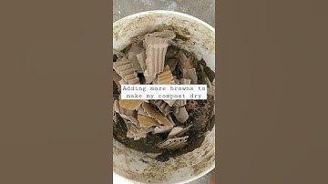 Drying my wet anaerobic composting bin #shorts #gardeningshorts #composting #compostingathome