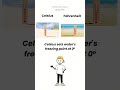 What’s the Difference? Tsunami vs Tidal Wave &amp; Celsius vs Fahrenheit