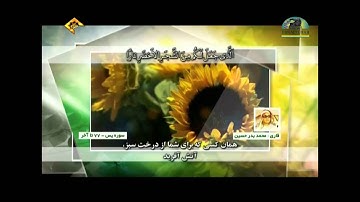 الشيخ محمد بدر حسين سورة يس من 77 إلى آخر السورة