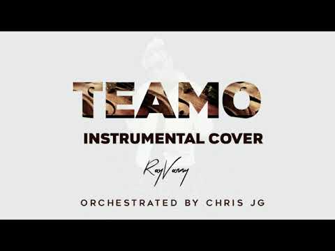 Rayvanny Teamo Instrumental