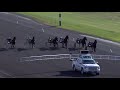 Woodbine - Mohawk Park Qualifiers