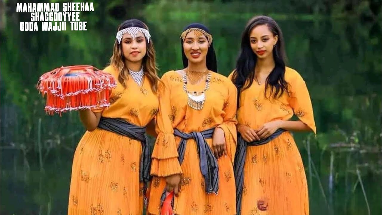 Mahammad Sheeka Daddaaysa Lyrics (Oromo Music 2023) YouTube