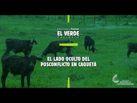 El lado oculto del posconflicto en Caquetá revista semana ultimas noticias