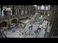 Natural History Museum releases timelapse of new blue whale centrepiece