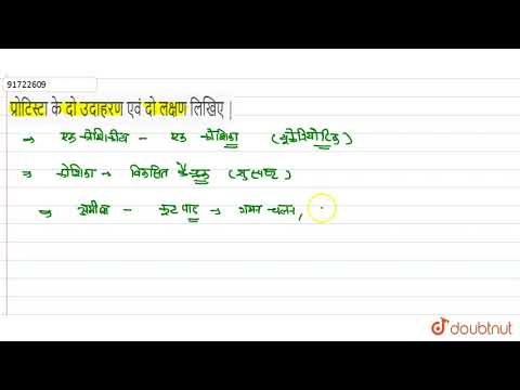 वीडियो: प्रोटिस्ट जैसे कुछ जानवर कौन से हैं?