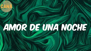 Download Lagu Ryan Castro -  Amor De Una Noche (Lyrics) MP3