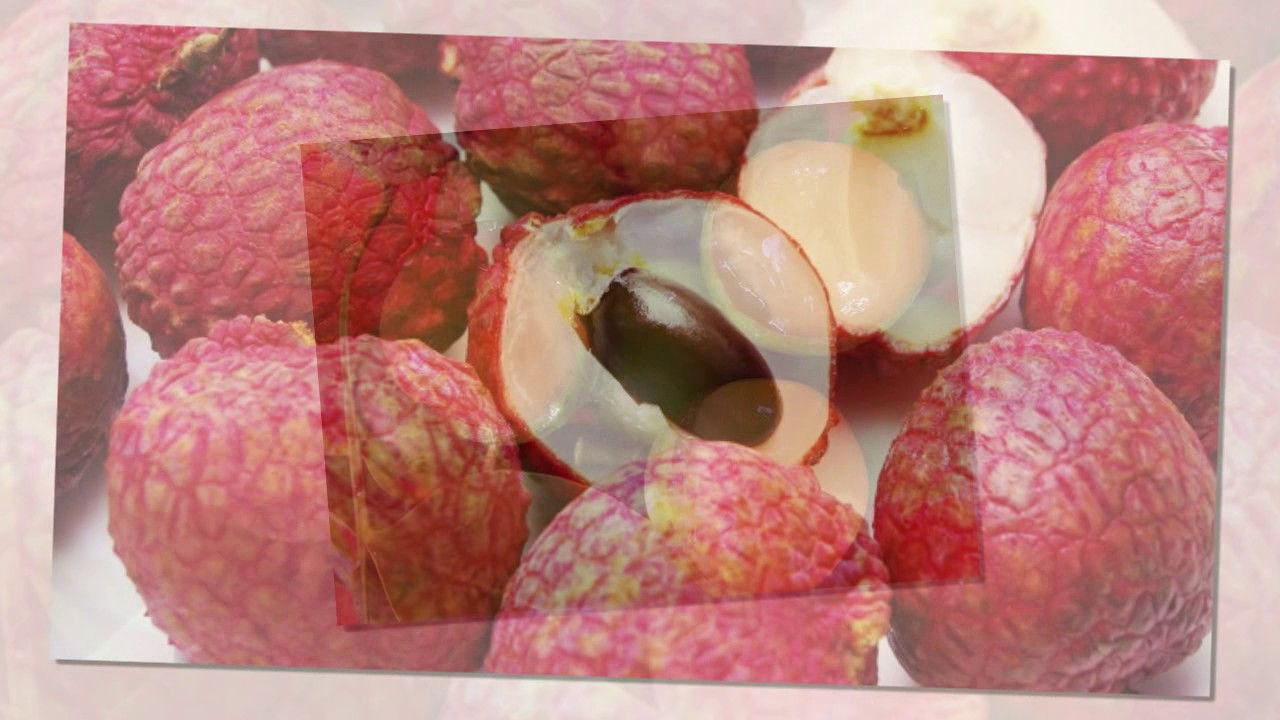 Exploring the Exotic Fresh Fruit of Mexico YouTube