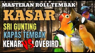 Download lagu KOMBINASI BESETAN TAJAM DAN KERAS PALING DI TAKUTI LAWAN MASTERAN BURUNG KOMBINASI
