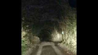 Ugly Person X Dj Deltara  Off The Shits