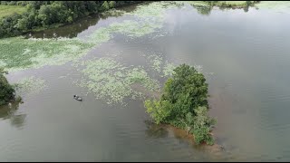 Unlock the Lake: Bill Lowen breaks down Lily Pads