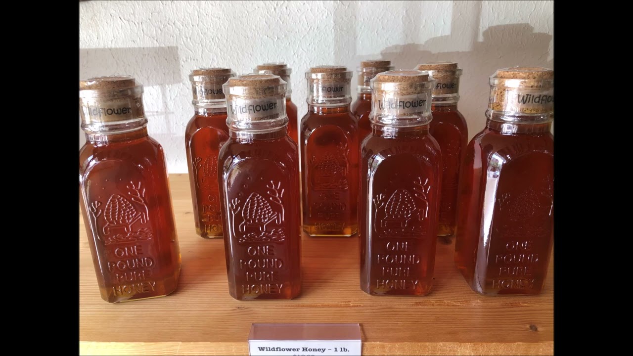 Texas Wildflower Honey Antioxidant, Antibacterial, Digestive Aid