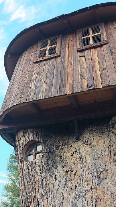 Download lagu Peter Pan's House