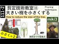 111-2 大きくなり過ぎた樹を小さくする2/2 Reduce the size of overgrown trees. miki3
