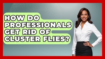 How Do Professionals Get Rid Of Cluster Flies? - Insects and Invaders