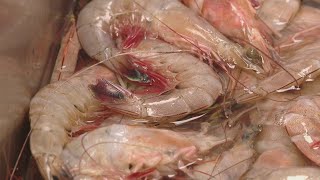 Louisiana law forces restaurants, markets to label foreign shellfish