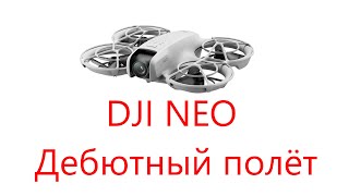 картинка: Дрон DJI NEO. Первый полёт (2025 02 16)
