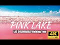 PINK LAKE,LAS COLORADAS, Mexico 🇲🇽 4K Walking Tour | February 2023