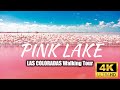 PINK LAKE,LAS COLORADAS, Mexico 🇲🇽 4K Walking Tour  | February 2023