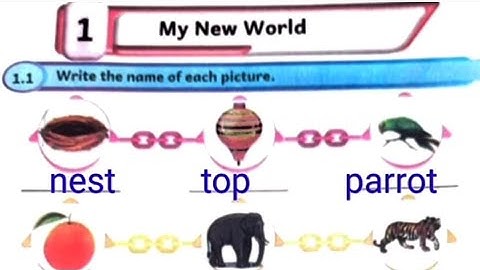 EE 5th std english term 1 unit 1 Workbook answers | my new world Workbook answers