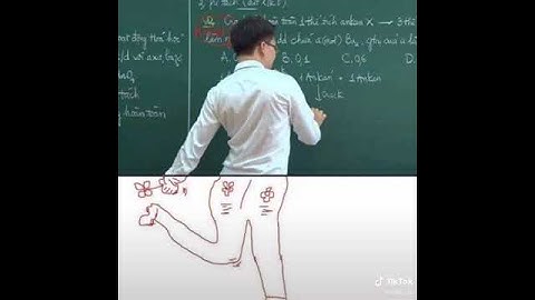 Chào mừng đến VN