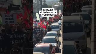 Bursada Fi̇li̇sti̇n - Gazze Yürüyüşü Resimi