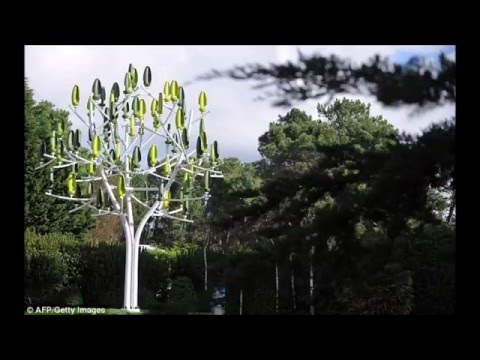 WindTree
