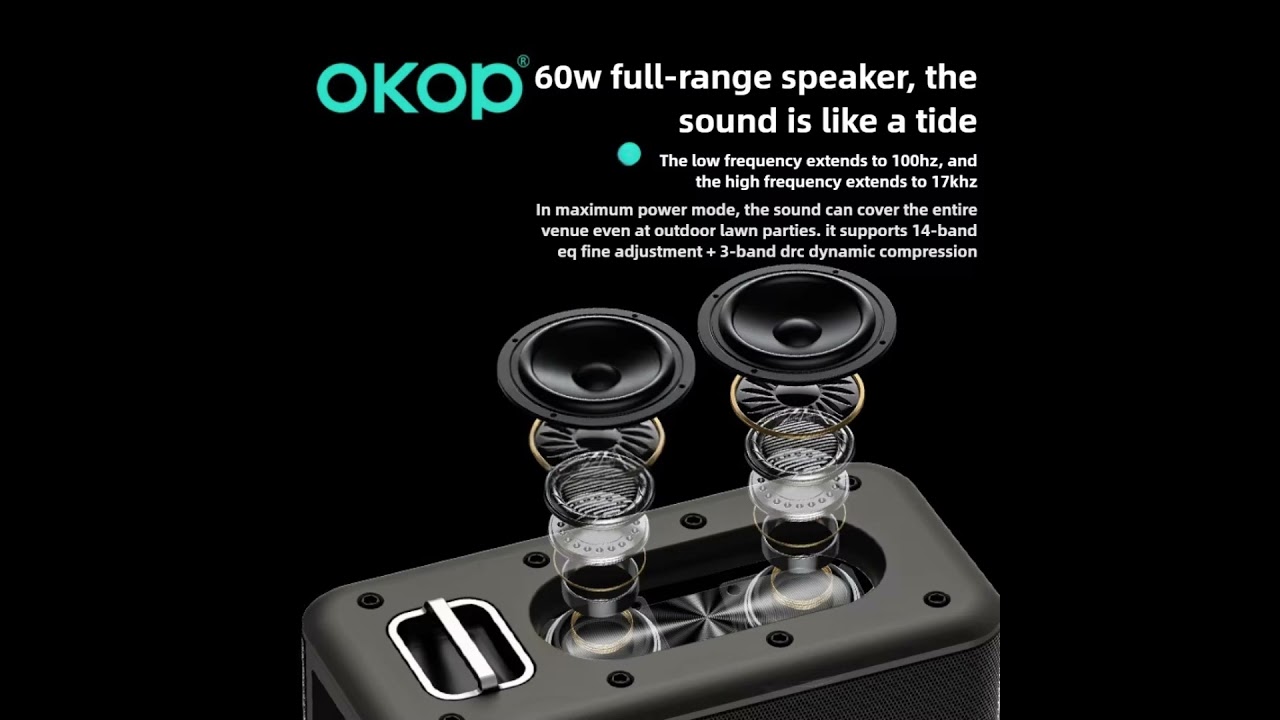 Okop Kp-8003 Portable Wireless Speaker With Microphone–120w Hifi Audio