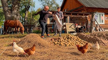 Off-Grid Ukrainian Farm Life 🐄 | Homemade Dairy & Harvest Work