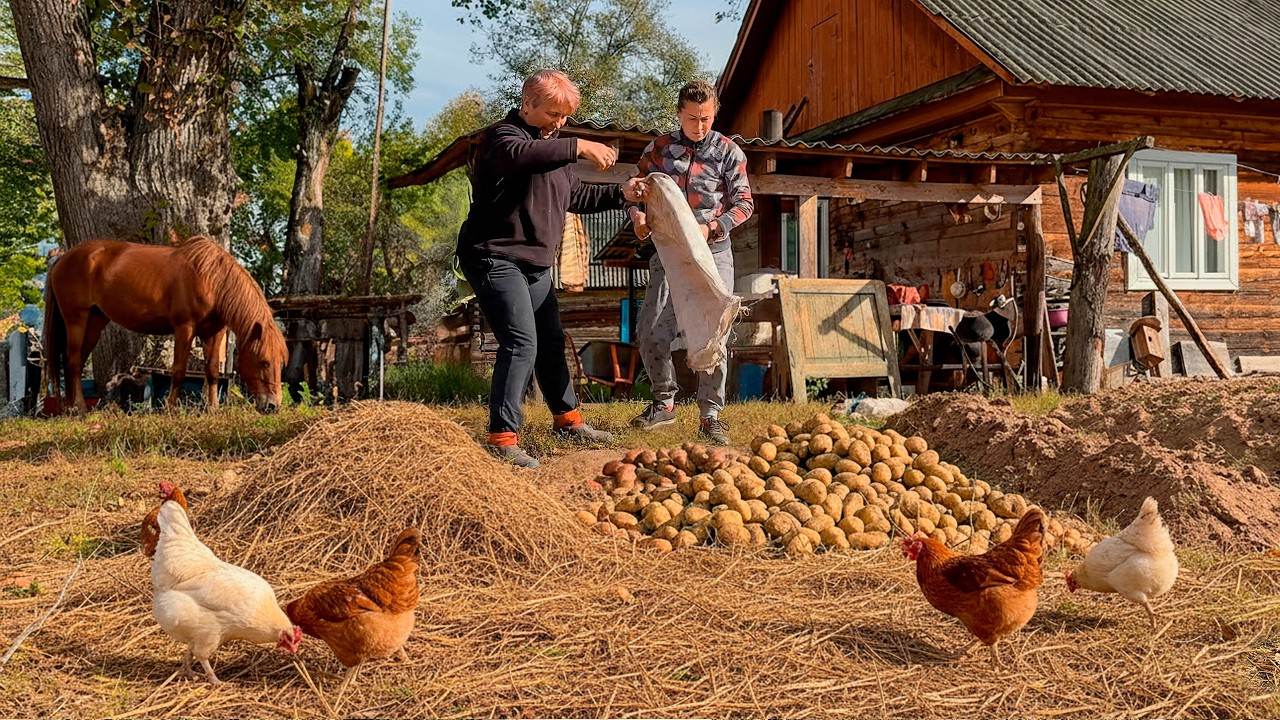 Off-Grid Ukrainian Farm Life 🐄 | Homemade Dairy & Harvest Work