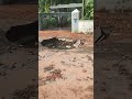 Power of water
