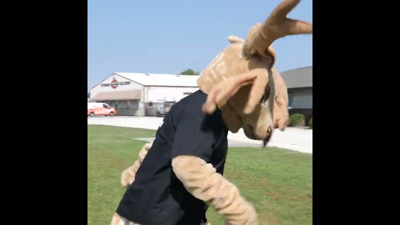 Deer in vision, call Phoenix Collision! 🦌