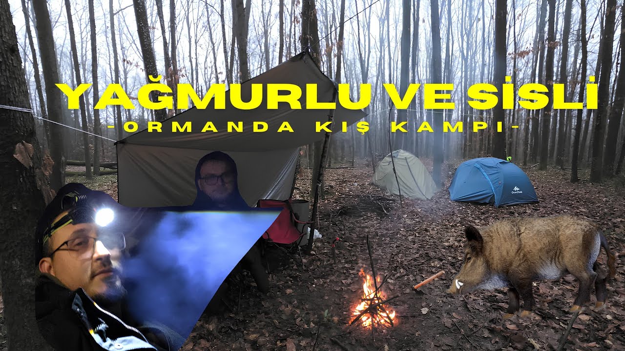 Yağmur ve Sis Altında Orman Kampı | Winter Camping in Rain & Fog | Wild Boar Encounter