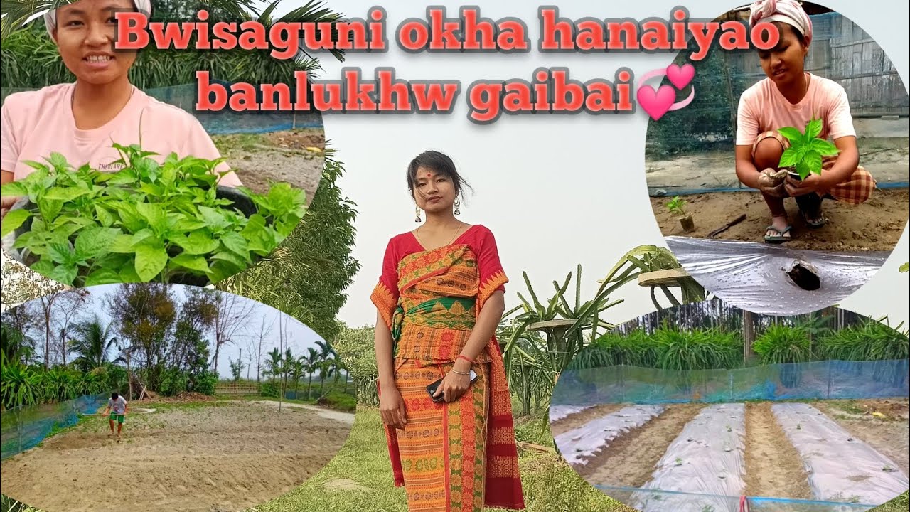 Bwishaguni okha hanaijwng banlu Raja gaikhabai 💞💞