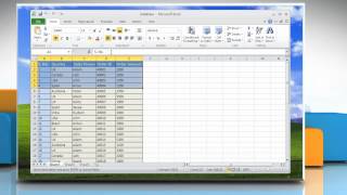Microsoft® Excel 2010: Create a standard chart from data in PivotTable report on Windows® XP