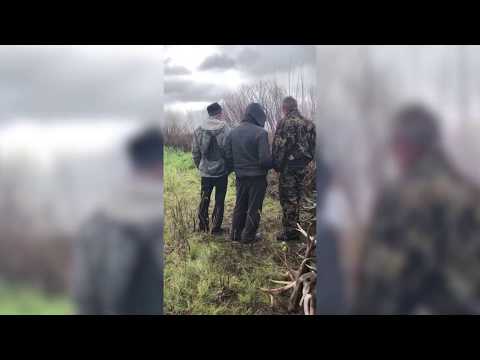 У зоні відчуження виявили збирачів рогів