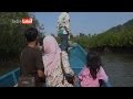 WOW !!! Ternyata Begini "Cara Menikmati Keindahan Hutan Mangrove"
Sambil "TERAPI"