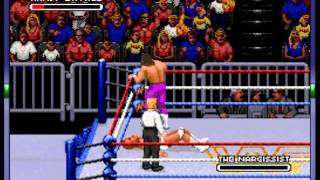 WWF Royal Rumble - WWF Royal Rumble (SNES / Super Nintendo) - Vizzed.com GamePlay - User video