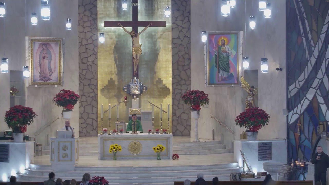 Santa Misa (Segundo domingo del tiempo ordinario) - 18/01/2026  