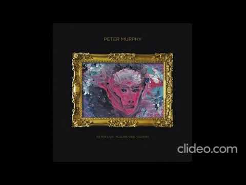 Peter Murphy Live In London アナログ盤 3LP Peter Murphy Live In London アナログ盤 3LP