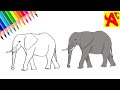 تعليم الرسم كيف ترسم فيل سهل خطوة بخطوة 
