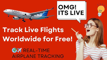 how to track flight status live ✈️ #flightradar24 | The AI Tutor