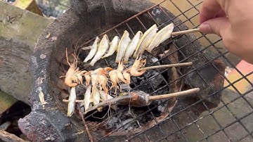 Nướng cá nướng tép  câu cá #viralvideo #fishing #video #xuhuongyoutube #mientay #fishingvideo #viral