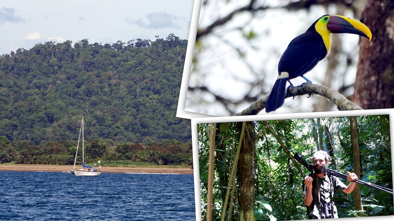 Costa Rica’s Amazon Just Off Our Anchorage! - Ep. 73 Thula Sailing
