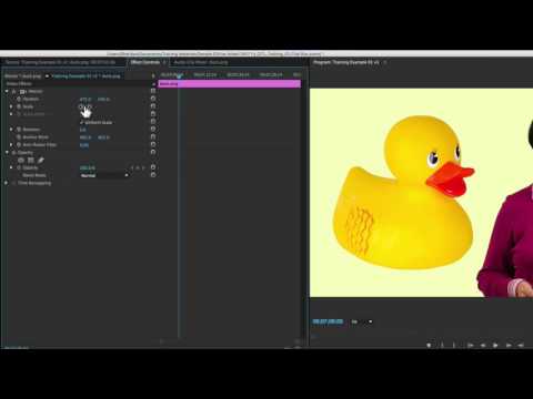 Modifying Effect Controls