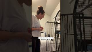 Major Breakthrough With Stella
